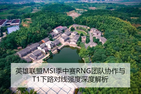 英雄联盟MSI季中赛RNG团队协作与T1下路对线强度深度解析