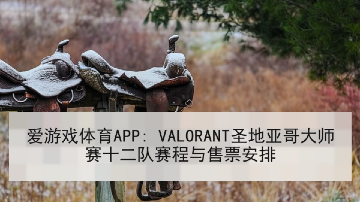 爱游戏体育APP: VALORANT圣地亚哥大师赛十二队赛程与售票安排